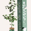 JUSTE UN ARBRE. - Ginkgo biloba "arbre aux quarante écus" | idée cadeau naissance, mariage, anniversaire - à planter en intérieur ou extérieur.