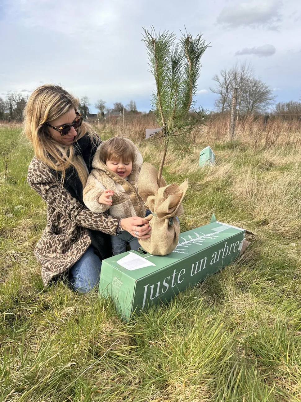 JUSTE UN ARBRE. - Magnolia etoilé | cadeau idéal : naissance, crémaillère, mariage, anniversaire, baptême