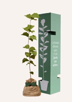JUSTE UN ARBRE. - Noisetier | offrez un arbre pour célébrer les grands moments de vie (naissance, mariage). Un cadeau unique.