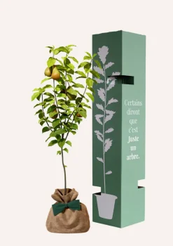 JUSTE UN ARBRE. - Poirier conférence | arbre cadeau naissance, mariage, baptême, anniversaire - cadeau naturel qui dure toute la vie.