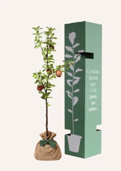 JUSTE UN ARBRE. - Pommier "reine des reinettes" | offrez un arbre pour célébrer les grands moments de vie (naissance, mariage).