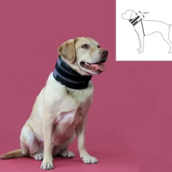 KVP - Collier cervical pour chiens noir (6-28 cm)