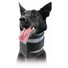 KVP - Collier cervical pour chiens noir (18-53 cm)