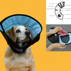 KVP - Collier de protection isabelino pour chiens calmer multicouleur (20-28 cm)