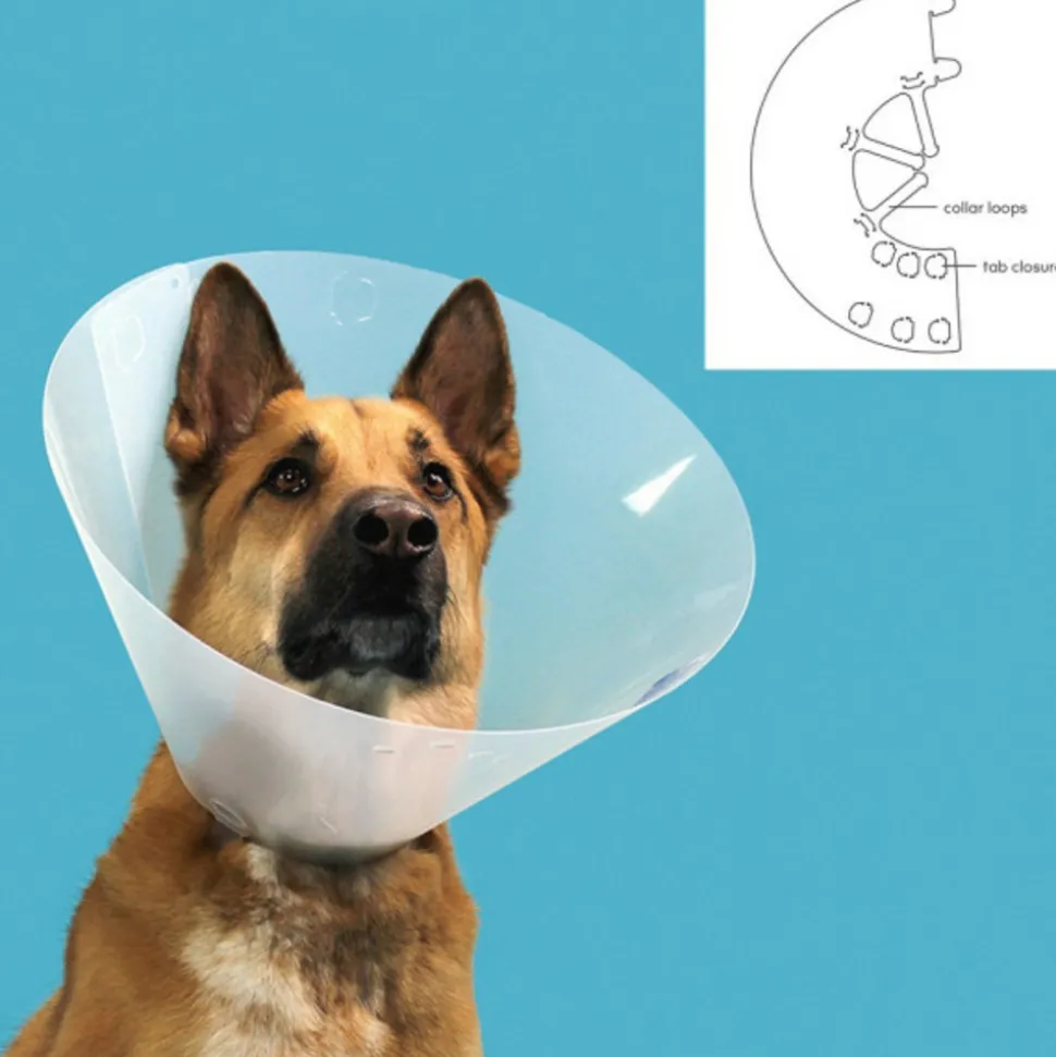 KVP - Collier de protection isabelino pour chiens quick fit transparent (33-41 cm)