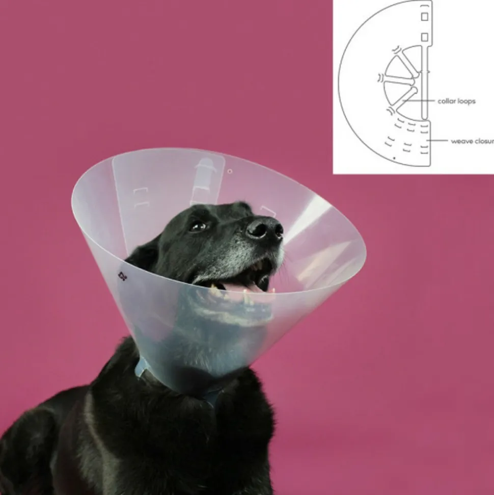 KVP - Collier de protection isabelino pour chiens betsy transparent (33-41 cm)