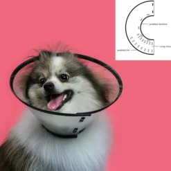 KVP - Collier de protection isabelino pour chiens saf-t-clear transparent (25-38 cm)