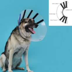 KVP - Collier de protection isabelino pour chiens ez clear (18-25 cm)