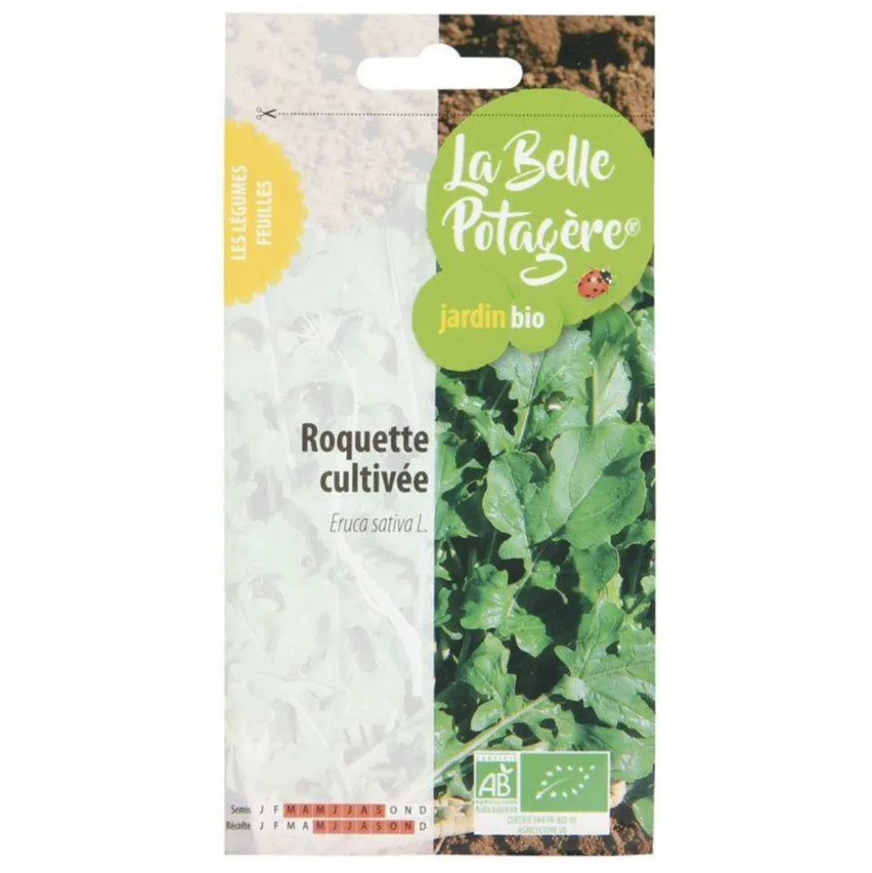 LA BELLE POTAGÈRE - Graines à semer - roquette cultivée - 2,5 g