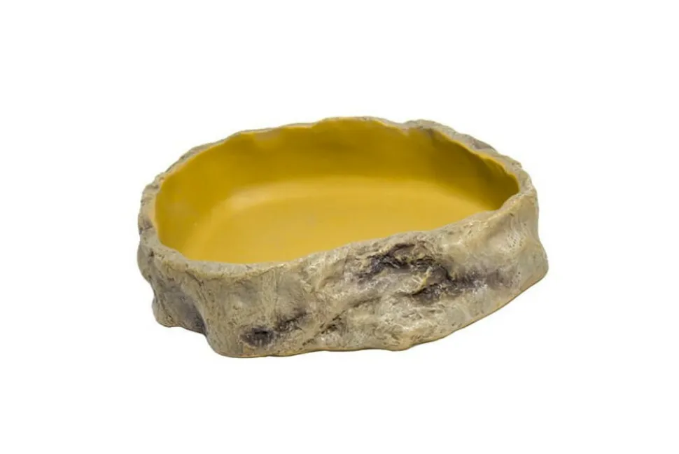 LA FERME TROPICALE - Abreuvoir en résine 23,5 cm- abreuvoir pour reptiles (lézards, serpents, tortues), amphibiens et invertébrés