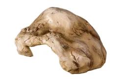 LA FERME TROPICALE - Cachette small pour reptile 16 x 10 x 6 cm - grotte pour reptiles (lézards, serpents, tortues), amphibiens et invertébrés