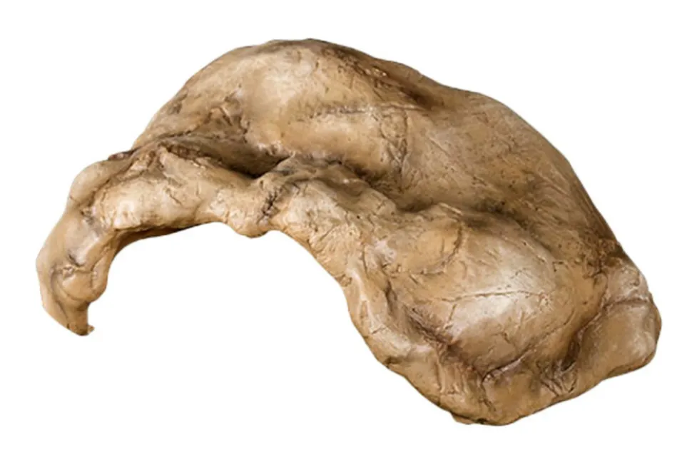 LA FERME TROPICALE - Cachette large pour reptile 29 x 19,5 x 12 cm - grotte pour reptiles (lézards, serpents, tortues), amphibiens et invertébrés