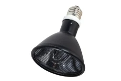 LA FERME TROPICALE - Lampe à résistance chauffante - deep heat splash proof - 80w - ampoule / chauffage pour reptiles (lézards, serpents), amphibien
