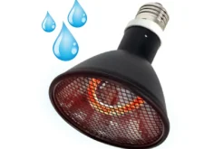 LA FERME TROPICALE - Lampe à résistance chauffante - deep heat splash proof - 100w - ampoule / chauffage pour reptiles (lézards, serpents), amphibie