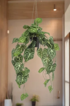 LA GREEN TOUCH - Anthurium clarinerdium plante artificielle - h80cm, ø18cm