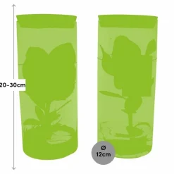 LA GREEN TOUCH - Clusia rosea princess en tube