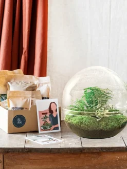 LA GREEN TOUCH - Kit terrarium diy - dome xl asparagus + lierre + fittonia - rateau + pelle + pince