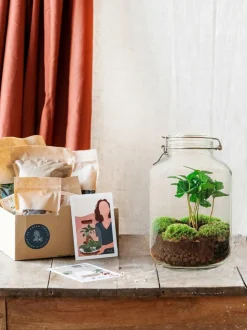 LA GREEN TOUCH - Kit terrarium diy - oslo calathéa leopardina - sans outil