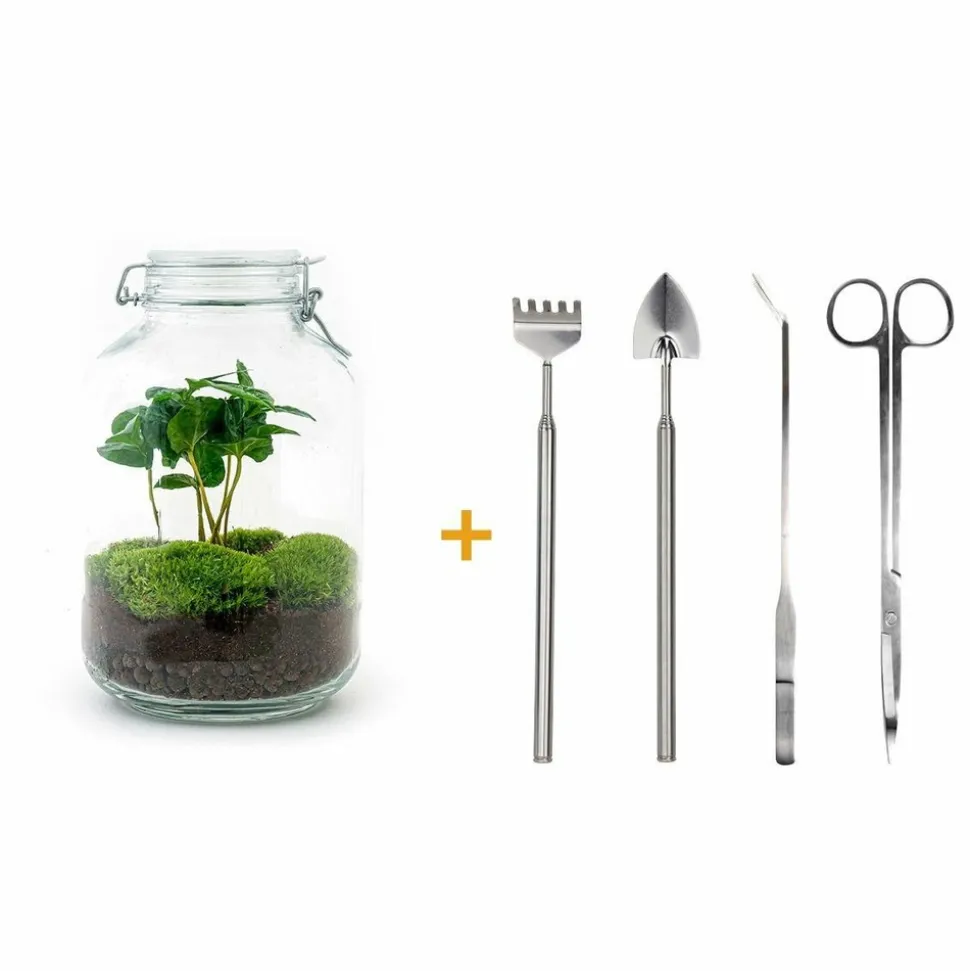LA GREEN TOUCH - Kit terrarium diy - oslo caféier - rateau + pelle + pince + ciseaux