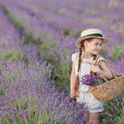 LA GREEN TOUCH - Lavande angustifolia - 12 packs de 6