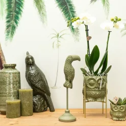 LA GREEN TOUCH - Ornement toucan multicolore