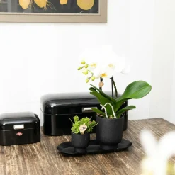 LA GREEN TOUCH - Plateau ovale noir pour plantes