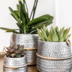 LA GREEN TOUCH - Verts colibri | lot de 2 plantes succulentes en pots décoratifs rainurés argentés - pot céramique taille 9cm