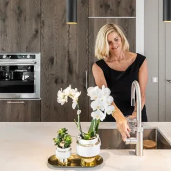 LA GREEN TOUCH - Verts colibri | lot de 2 plantes rhipsalis en pots décoratifs dorés le chic - pot céramique taille 9cm