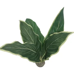 LABEO - Plante artificielle pour terrarium H37cm