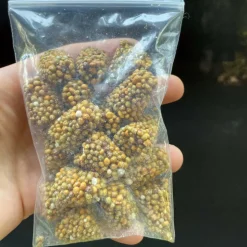 LATOUR-MARLIAC - Sachet de pastilles d'osmocote 20x