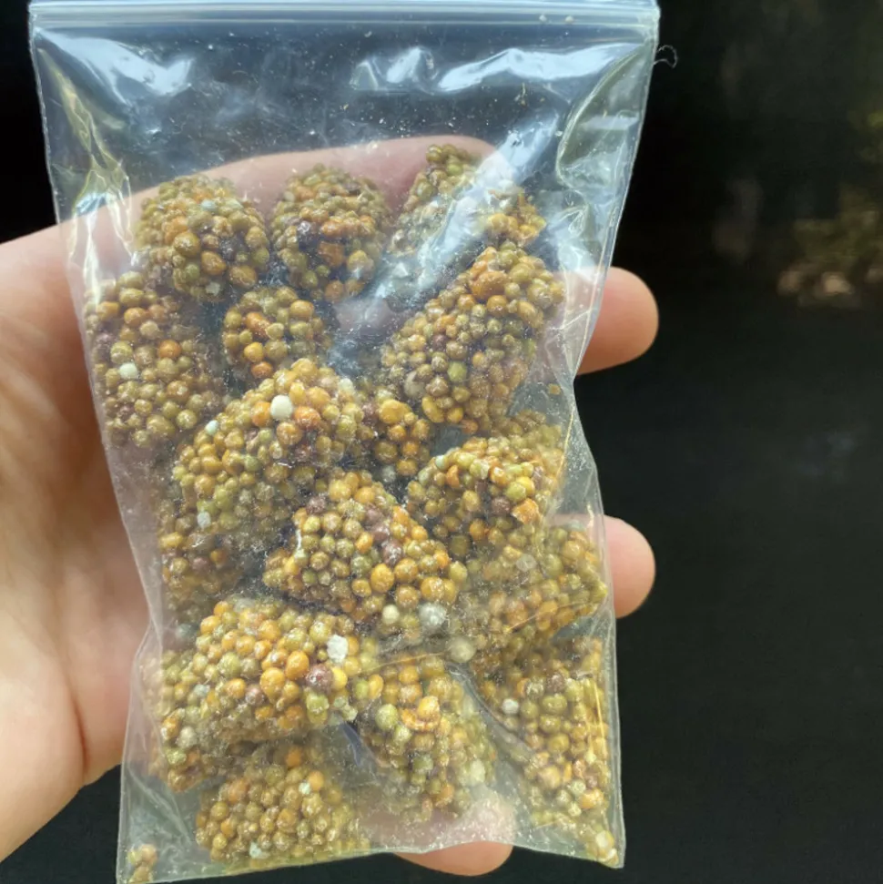 LATOUR-MARLIAC - Sachet de pastilles d'osmocote 20x