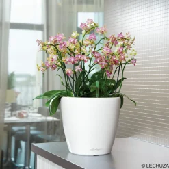 LECHUZA - Pot Classico Premium, coloris blanc D.35cm