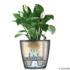 LECHUZA - Pot Classico Premium, coloris blanc D.35cm