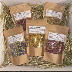 L'EDEN DES PATTOUNES - Box fleurs