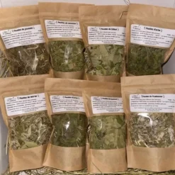 L'EDEN DES PATTOUNES - Box feuilles