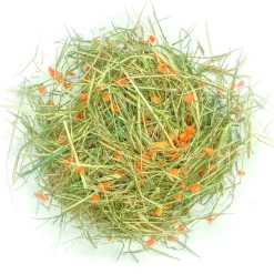 L'EDEN DES PATTOUNES - Foin aromatisé à la carotte pour lapins et rongeurs