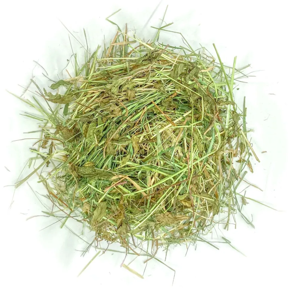 L'EDEN DES PATTOUNES - Foin aromatisé au céleri branche pour lapins et rongeurs