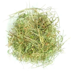 L'EDEN DES PATTOUNES - Foin aromatisé au céleri rave pour lapins et rongeurs