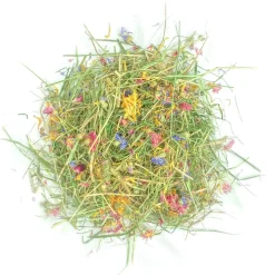 L'EDEN DES PATTOUNES - Foin aromatisé à l'aneth pour lapins et rongeurs