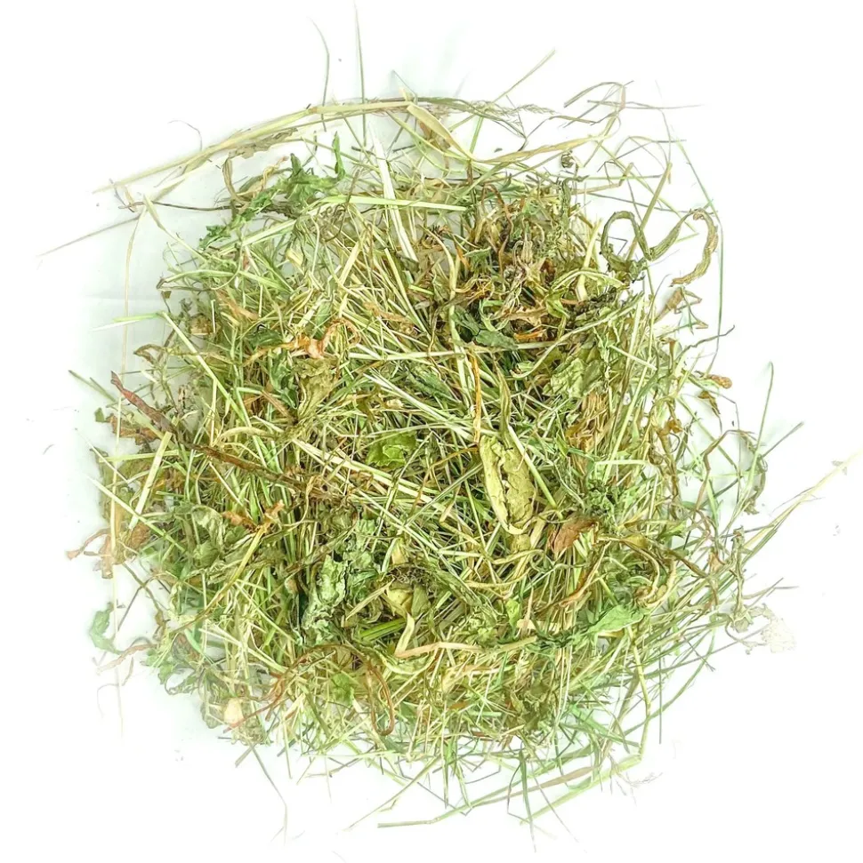 L'EDEN DES PATTOUNES - Foin aromatisé aux feuilles de mûrier pour lapins et rongeurs