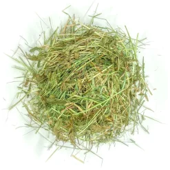 L'EDEN DES PATTOUNES - Foin aromatisé aux feuilles d'ortie pour lapins et rongeurs