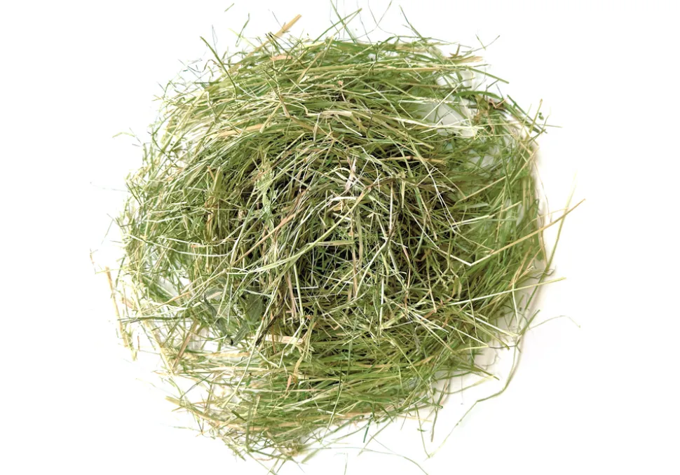 L'EDEN DES PATTOUNES - Mix foin pour lapins et rongeurs - 6 kg