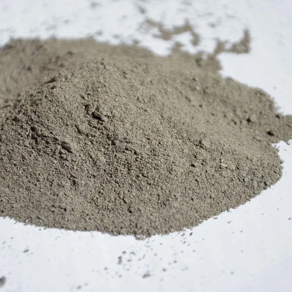 LIFLAND - Terre de diatomée biologique non calcinée poules 4,5kg