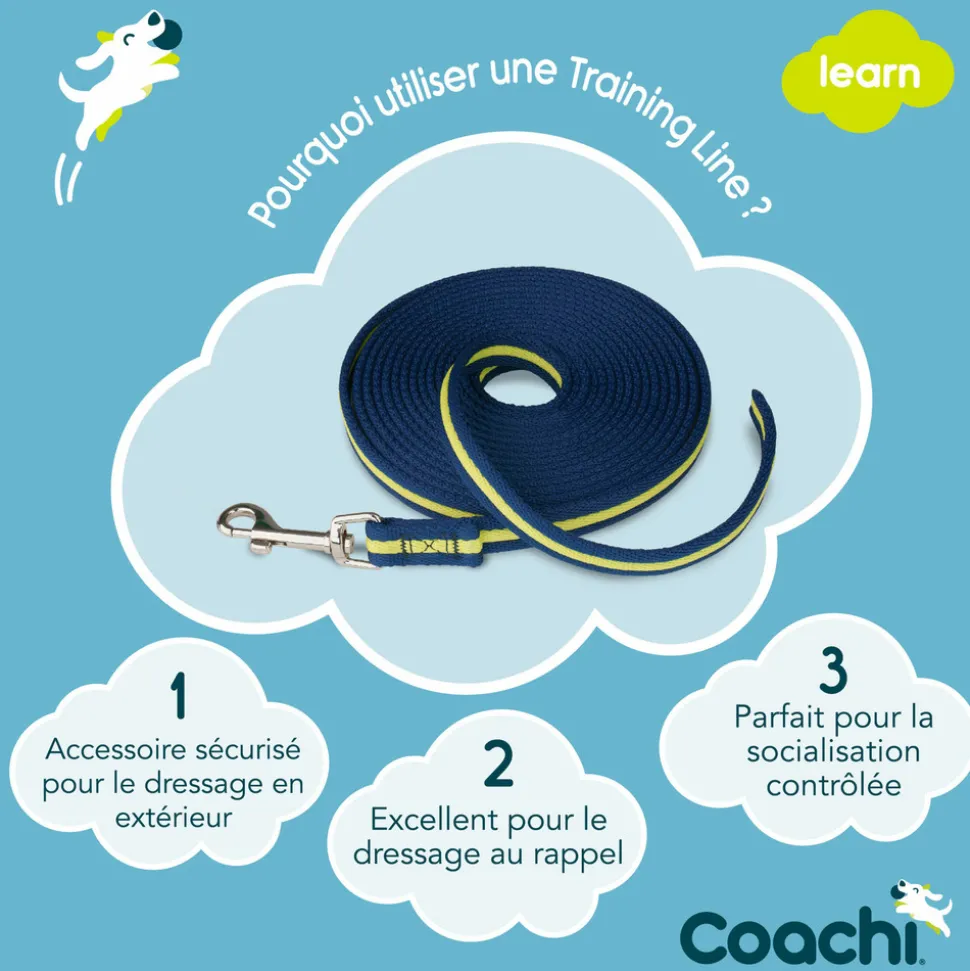 Longe coachi bleue marine et citron : 5 m