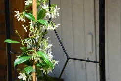 LOUIS MOULIN - Arche basics tube rond 16 vitrail - 130x40x250 cm - noir