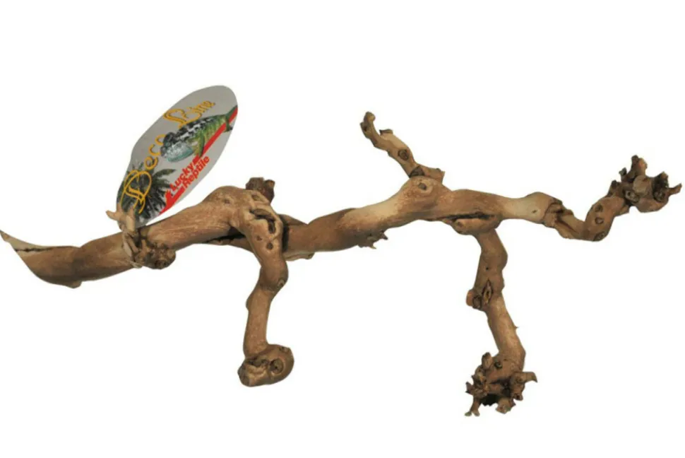 LUCKY REPTILE - Bois de vigne - grapevine - small 30-40 cm - décoration pour terrarium destiné aux reptiles (lézards, serpents, tortues), amphib