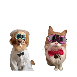 Lunettes de soleil pour animaux mcboson, monture rose, verres gris