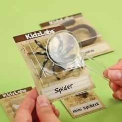 4M - Découverte de la science - kit des insectes rampants