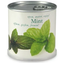 MAC FLOWER'S - Menthe à faire pousser en boite