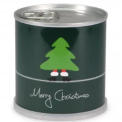 MAC FLOWER'S - Sapin de noel en canette prêt à pousser